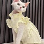 作品猫服 ペット服 ネコ 薄い黄色猫プリンセスワンピース 姫スカート エレガンス 春 夏 綺麗な猫ワンピース スフィンクス猫