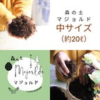 作品森の土「マジョルド」中サイズ（約20ℓ）