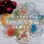 作品⸜ new♡ ⸝ ハーバリウム 10枚セット シーリングスタンプ シール 素材 コラージュ パーツ 花 フラワー クリア 透明