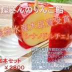 作品農林水産大臣賞受賞！長野直送シナノドルチェのりんご飴🍎6本セット