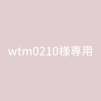 作品wtm0210様専用⋆⡱