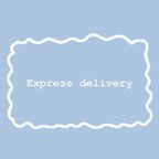 作品Express delivery(お急ぎ便)