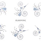 作品【ポストカード2枚セット】Blooming 