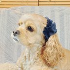 作品【再販！】中型犬用　レースシュシュ　ダークネイビー