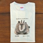 作品【送料無料】 Tシャツ（かもしか）受注生産