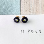 作品11 推し色なに色？プチピアス／イヤリング　ブラック