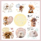 作品ペットのための♡オリジナルLINEスタンプ【8個】