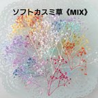 作品【再販】《ケース入り》ソフトカスミ草《MIX》