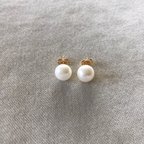 作品Fresh Water Pearl Stud Earrings 一粒淡水パールピアス