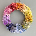 作品🌈晴れた日に眺めたい。虹色の花々が煌めく、虹色花畑のドライフラワーリース✨　レインボーリース 約16cm 　推しカラー