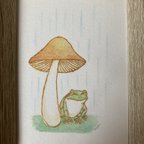 作品恵みの雨の下で🍄🐸