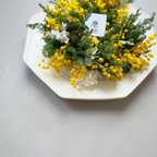 作品mimosa wreath no.1 box付き