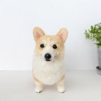 作品ウェルシュ・コーギー　羊毛フェルト　ぬいぐるみ　犬　置き物　コーギー　送料無料