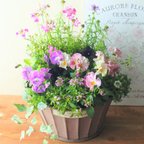 作品❁春色の可愛いお花の寄せ植え　贈り物にも