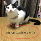 作品ご購入前にお読みください