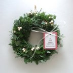 作品【季節限定商品】フレッシュグリーンのクリスマスリース（Φ約18cm/ ドライ ）
