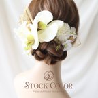 作品胡蝶蘭と水引飾りのヘッドドレス・ヘアアクセサリー(ホワイトグリーン)＊ウェディング 成人式 結婚式 和装 前撮り 髪飾り 