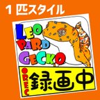 作品選べる3タイプ*【自称！日本一モルフが多いレオパシリーズ】ドラレコ