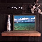 作品【送料無料】南国の風景☆HAWAII No.880                                フレーム付   A4サイズ