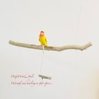 作品流木インテリア  シンプルな天然流木の小鳥の止まり木 吊り下げタイプ インコ 鳥 ブランコ 自然木 No.29