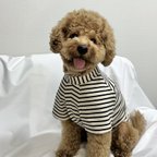 作品【犬服】🤍ポンチョ型ボーダーTシャツ