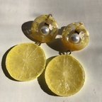 作品食品サンプルレモン輪切り🍋イヤリング