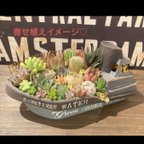 作品船プランター ブラック釘ピック☆リメイク鉢 リメイク缶 多肉植物