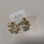 作品pearl ring pierce