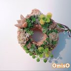 作品【送料無料】受注製作☆8㎝リース寄せ植えキット　(カット苗+リース土台)