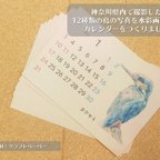 作品日本の鳥カレンダー【水彩画】🦜
