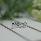 作品Neco pierced earrings　-lb4×Necology-