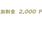 作品オーダー追加料金 2,000 円 