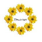 作品sunflowerメッセージカード