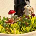 作品ゾクゾク感❣️ジオラマ多肉 多肉植物 セダム 寄せ植え うさぎフィギュア 植木鉢付き 開運グッズ クリスマス