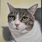 作品オーダーメイド　色鉛筆画　猫の絵　犬の絵　似顔絵　ねこ　いぬ　肖像画　ペットロス