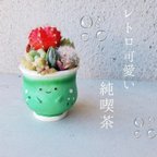 作品🆕純喫茶レトロ可愛いクリームソーダの寄せ植え🤍