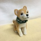 作品☆柴犬☆赤茶柴☆バンダナ巻（緑唐草）