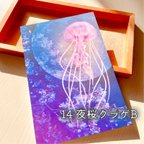 作品夜桜×クラゲの幻想ポストカード【きのくら屋】14『夜桜クラゲB』