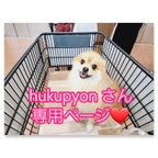 作品hukupyon さん専用❤