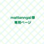 作品mattanngai様　専用ページ