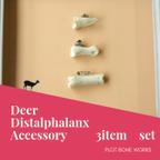 作品Deer Distal phalanx Accessory/鹿末節骨のアクセサリー