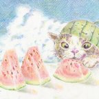 作品🍉スイカ帽子の猫 ポストカード２枚セット