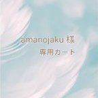 作品amanojaku様 専用カート🛒𓈒𓂂𓏸