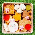 作品春のクッキー缶🐰🌸※受付終了しました