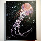 作品原画No.5「South American Sea nettle」色鉛筆画、F0号パネル