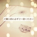 作品必ずご一読ください＊