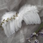 作品angel wing 天使の羽(WHITE) フォトグッズ