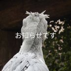 作品動物さんをお迎えの方はご覧ください