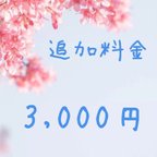 作品追加料金　3000円