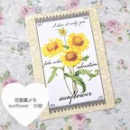 作品【SALE】花言葉メモ　sunflower　30枚